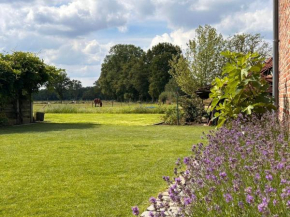 B&B Droomzoet